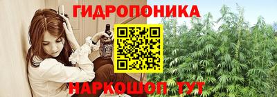 спайс Славгород